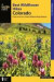 Best Wildflower Hikes Colorado: A Guide to the Area's Greatest Wildflower Hiking Adventures (Regional Hiking Series)