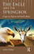 The Eagle and the Springbok