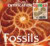 Fossils (Identification Guides) (Identification Guides)