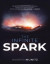 Infinite Spark: The Secret to Access the Divinity Within You, Actualize Your Greatest Potential, and Live a Life Filled With Love, Meaning and Purpose