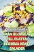 Från Blokblad Till Platta: Blomma Kraft Salader