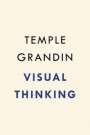 Visual Thinking: The Hidden Gifts of People Who Think in Pictures, Patterns, and Abstractions