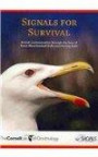 Signals for Survival: Animal Communication Through the Lives of Great Black-backed Gulls and Herring Gulls