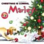 Marley: Christmas Is Coming, Marley