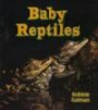 Baby Reptile