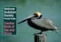 National Audubon Society Pocket Guide to Familiar Birds of Sea and Shore (Audubon Society Pocket Guides)