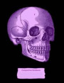 Purple Skull Composition Notebook: College Ruled (7.44 X 9.69) Vintage Anatomy Human Head Engraving