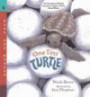One Tiny Turtle (Turtleback School & Library Binding Edition) (Read and Wonder (Pb))