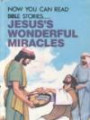 Jesus's Wonderful Miracles (Now You Can Read- Bible Stories)