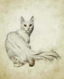 Turkish Angora: Artified Pets Cat Journal/Notebook/Diary
