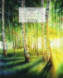 Wide Ruled Composition Notebook 8'x 10.' 120 Pages. Trees Art: White Birch Trees Sunny Landscape Cover. Notebook Composition Book Wide Ruled for Kids