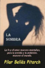 La sombra: La fe y el amor mueven montañas pero la envidia y la ambición mueven el mundo