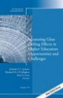 Measuring Glass Ceiling Effects in Higher Education: Opportunities and Challenges: New Directions for Institutional Research, Number 159 (J-B IR Single Issue Institutional Research)