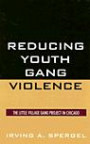 Reducing Youth Gang Violence: The Little Village Gang Project in Chicago (Violence Prevention and Policy Series)