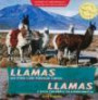 Llamas and Other Latin American Camels/Llamas y Otros Camelido S de Latinoamerica (Animals of Latin America/Animales de Latinoamerica)