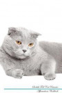 Scottish Fold Cat Affirmations Workbook Scottish Fold Cat Presents