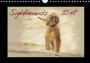 Sighthounds 2018 2018: Sighthounds - the Calendar is Designed in Ornate Watercolor Style So That Each Image Looks Like Work of Art. (Calvendo Animals)