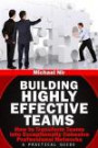 Building Highly Effective Teams: How to Transform Virtual Teams to Cohesive Professional Networks - a practical guide (The Leadership Series)