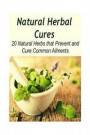 Natural Herbal Cures: 20 Natural Herbs that Prevent and Cure Common Ailments: herbal remedies, natural remedies, herbs, Herbal antibiotics