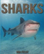 Sharks: Children Book of Fun Facts & Amazing Photos on Animals in Nature - A Wonderful Sharks Book for Kids aged 3-7