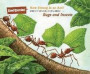 How Strong Is an Ant?: And Other Questions About...Bugs and Insects