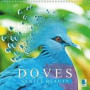 Doves Gentle Beauty 2018: Gentle Cooings and Soft Wingbeats (Calvendo Animals)