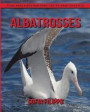 Albatrosses: Fun and Fascinating Facts and Photos about These Amazing & Unique Animals for Kids