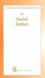 Catholic Teaching on Social Justice (Catholic Teaching Series)
