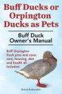 Buff Ducks or Buff Orpington Ducks as Pets. Buff Duck Owner's Manual. Buff Orpington Duck Pros and Cons, Care, Housing, Diet and Health All Included