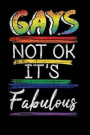 Gays Not Ok It's Fabulous: Cute Grunge Distressed Gay Pride LGBTQ Rainbow Flag Journal Composition Notebook 6 x 9 110 pages blank lined diary Bac