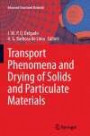 Transport Phenomena and Drying of Solids and Particulate Materials (Advanced Structured Materials)