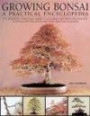 Growing Bonsai: A Practical Encyclopedia: The essential practical guide to a classic art with techniques, step-by-step projects and over 800 photograph