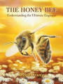 The Honey Bee: Understanding the Ultimate Engineer