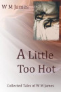 Little Too Hot: Collected Tales of W M James