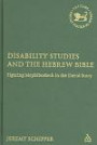 Disability Studies And the Hebrew Bible: Figuring Mephibosheth in the David Story (Library of Hebrew Bible/Old Testament Studies)