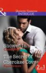 Snowed In: Snowed In / The Secret of Cherokee Cove (Mills & Boon Intrigue)