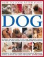 How to Look After Your Dog: An expert practical guide to dog care, grooming, feeding and first aid, with over 300 color step-by-step photograph