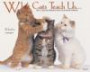 What Cats Teach Us 2007 Calendar: Life's Lessons Learned From Out Feline Friends : Don't Hesitate to show affection to those you love