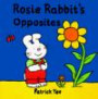 Rosie Rabbit Concept Board Books: Opposites (Rosie Rabbit)