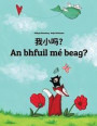 Wo Xiao Ma? an Bhfuil Mé Beag?: Chinese/Mandarin Chinese [simplified]-Irish Gaelic (Gaeilge): Children's Picture Book (Bilingual Edition)