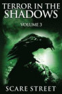 Terror in the Shadows Volume 3: Scary Ghosts, Paranormal & Supernatural Horror Short Stories Anthology