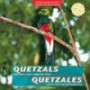 Quetzals and Other Latin American Birds / Quetzales y otras aves de Latinoamerica (Animals of Latin America / Animales De Latinoamerica) (Spanish Edition)
