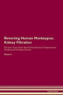 Reversing Human Monkeypox: Kidney Filtration The Raw Vegan Plant-Based Detoxification & Regeneration Workbook for Healing Patients. Volume 5