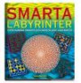 Smarta labyrinter - Över hundra smarta och invecklade labyrinter