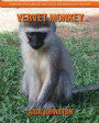Vervet Monkey: Amazing Pictures & Fun Facts on Animals in Nature