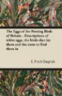 The Eggs of the Nesting Birds of Britain - Descriptions of white eggs, the birds that lay them and the nests to find them in