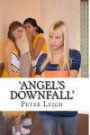 'Angel's Downfall': The Brotherhood Trylogy: Volume 1