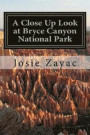 A Close Up Look at Bryce Canyon National Park