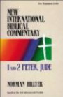 1 and 2 Peter, Jude (Understanding the Bible Commentary Series)