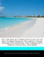 Hit the Beach! A Traveler's Guide to the Best Florida Beaches, Including Miami, Panama City, Daytona, the Florida Keys, Naples, Pensacola, and More